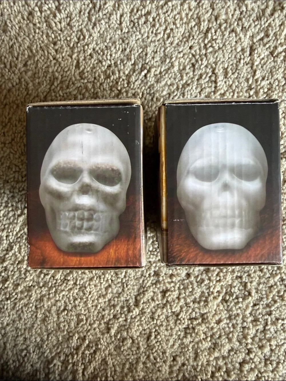 Fred DOOMED Skull Salt & Pepper Shakers — White Glass